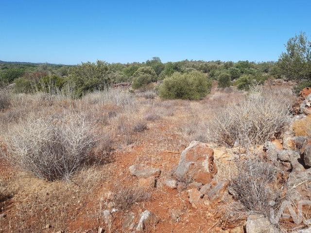 Terreno Agrícola em Alte