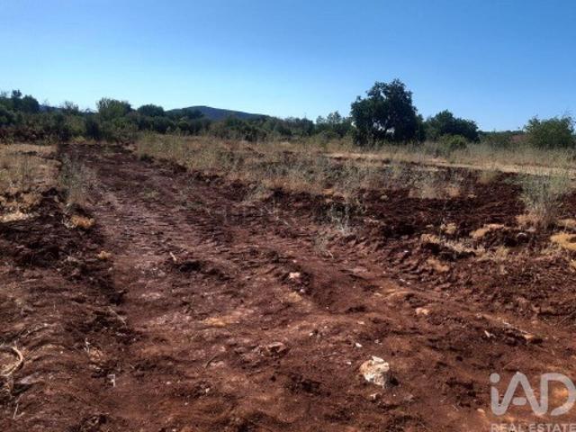 Terreno Agrícola em Alte