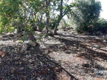 Monte Brito, Alte, Loulé, Distrito de Faro, Algarve