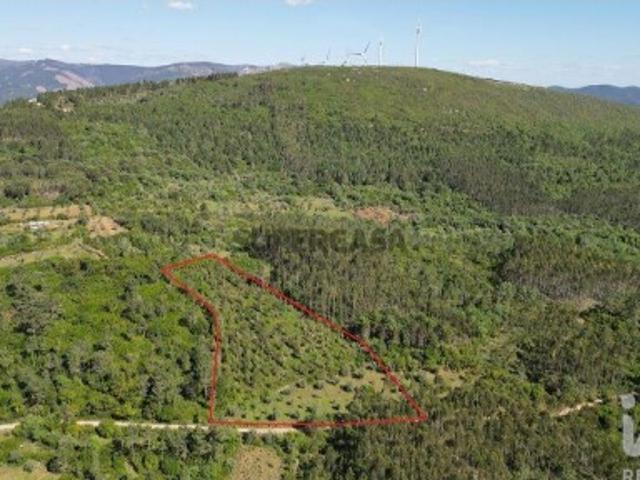 Terreno Agrícola em Alvorge