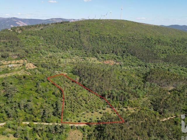 Terreno Agrícola em Alvorge