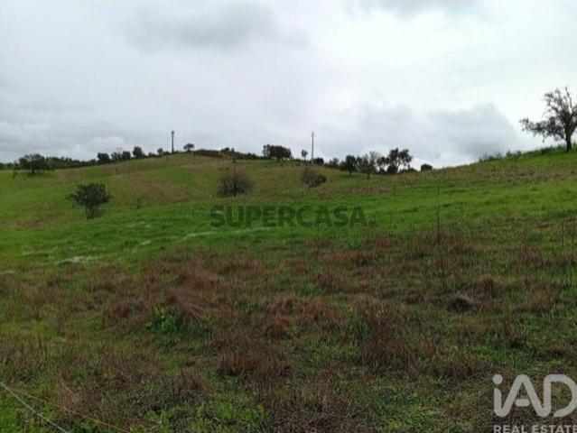 Terreno Agrícola em Ameixial