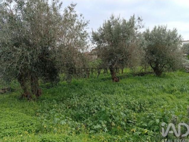 Terreno Agrícola em Ameixial