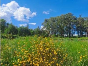 Terreno Agrícola em Bustelo