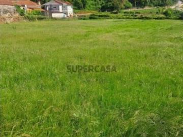 Terreno Agrícola em Bustelo