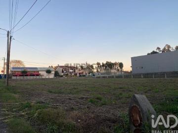 Terreno Agrícola em Bustos, Troviscal e Mamarrosa