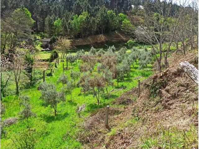 Terreno agrícola em Bairros Castelo de Paiva