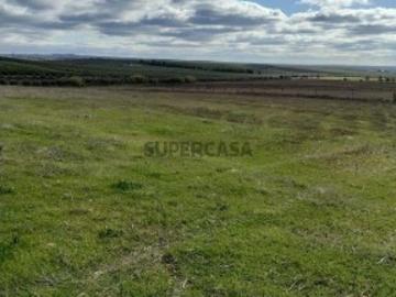 Terreno Agrícola em Baleizão