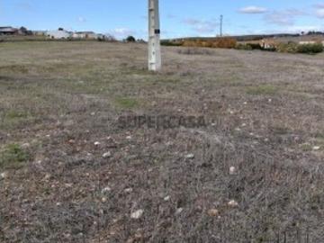 Terreno Agrícola em Baleizão