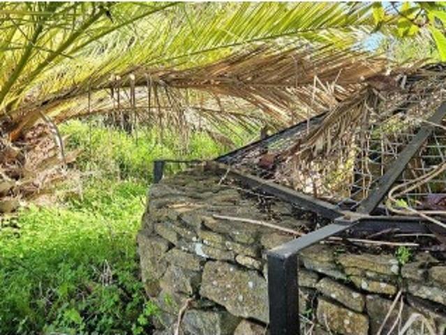Terreno Agrícola em Barão de São Miguel