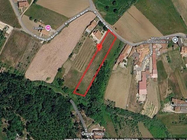 Terreno Agrícola em Bárrio