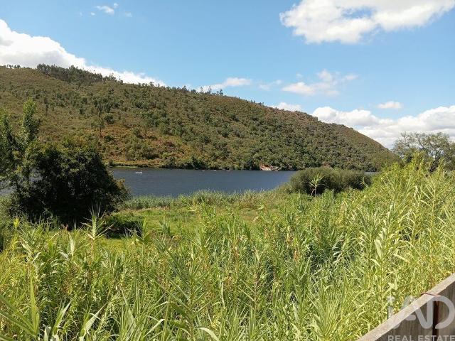 Terreno Agrícola em Belver
