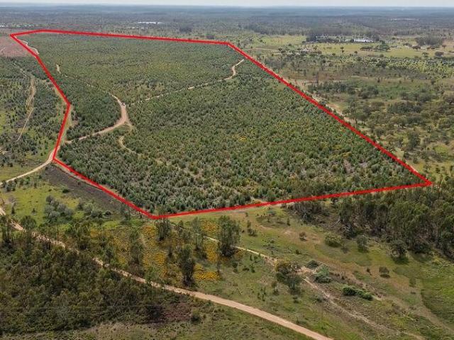 Terreno Agrícola em Bemposta
