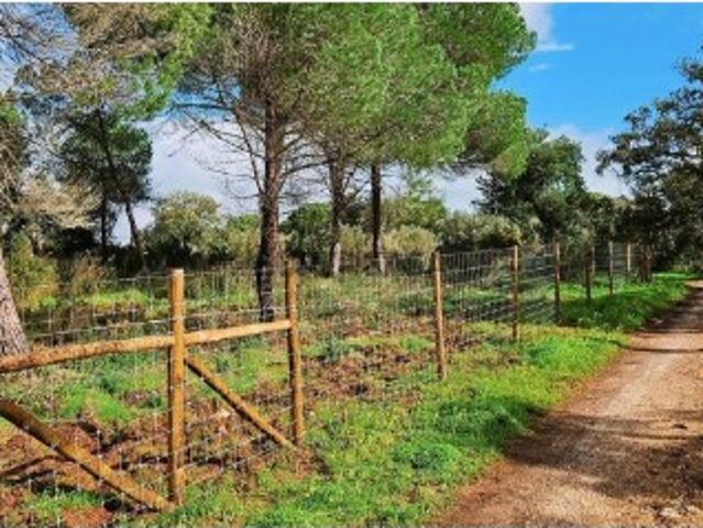 Terreno Agrícola em Bensafrim e Barão de São João