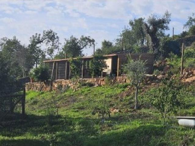 Terreno Agrícola em Boliqueime