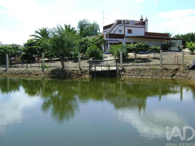 Terreno Agrícola em Cabeça Gorda de 41500,00 m²