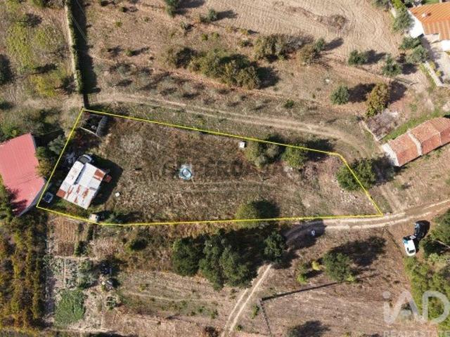 Terreno Agrícola em Canas de Senhorim