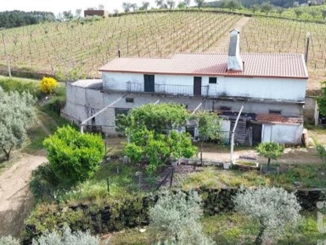 Terreno Agrícola em Castedo e Cotas