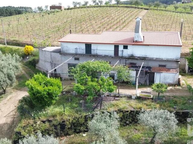 Terreno Agrícola em Castedo e Cotas