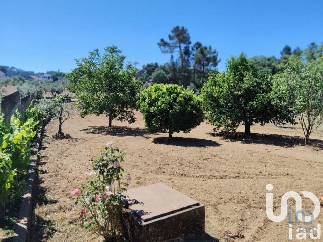 Terreno em Castelo