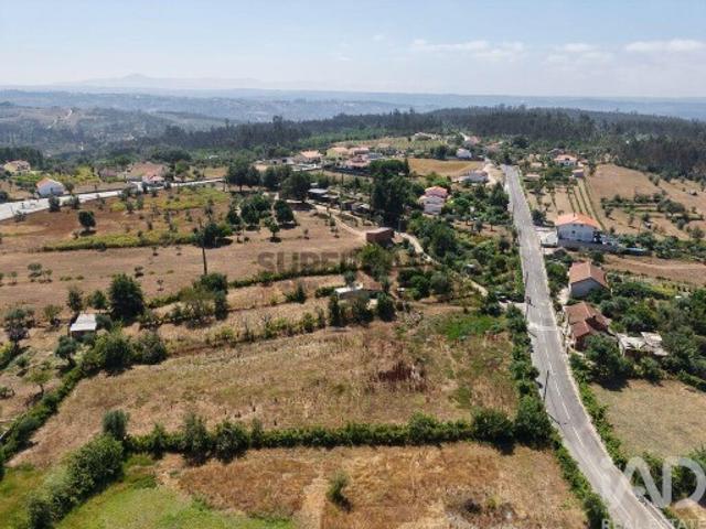 Terreno Agrícola em Carregal do Sal