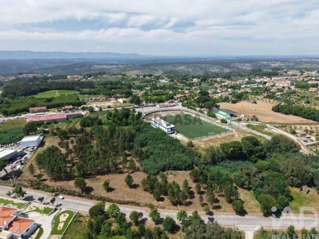 Terreno Agrícola em Carregal do Sal