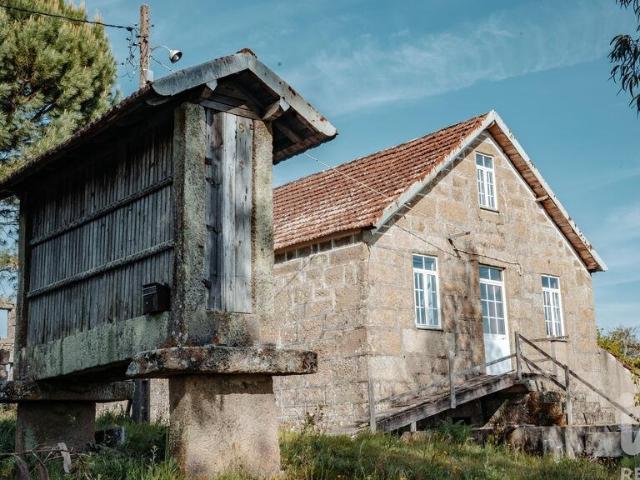 Terreno Agrícola em Carvalhais e Candal