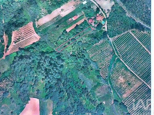 Terreno Agrícola em Carvalhal Benfeito