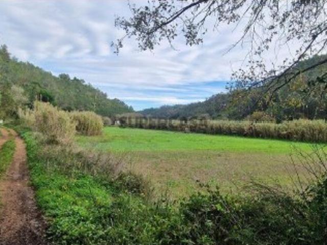 Terreno Agrícola em Carvoeira