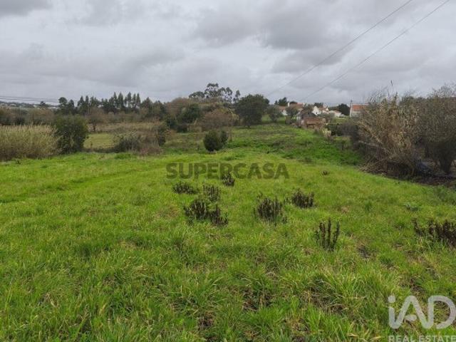 Terreno Agrícola em Cela