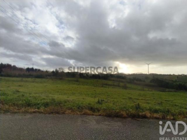 Terreno Agrícola em Cela