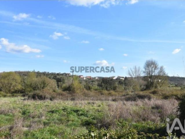 Terreno Agrícola em Chãos
