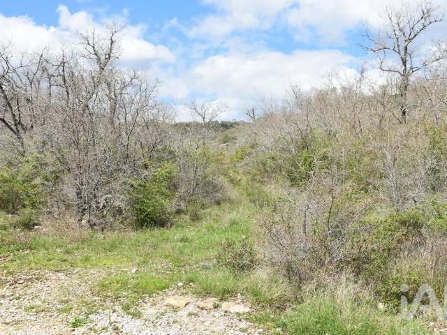 Terreno Agrícola em Chãos