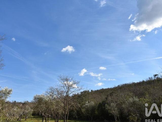 Terreno Agrícola em Chãos