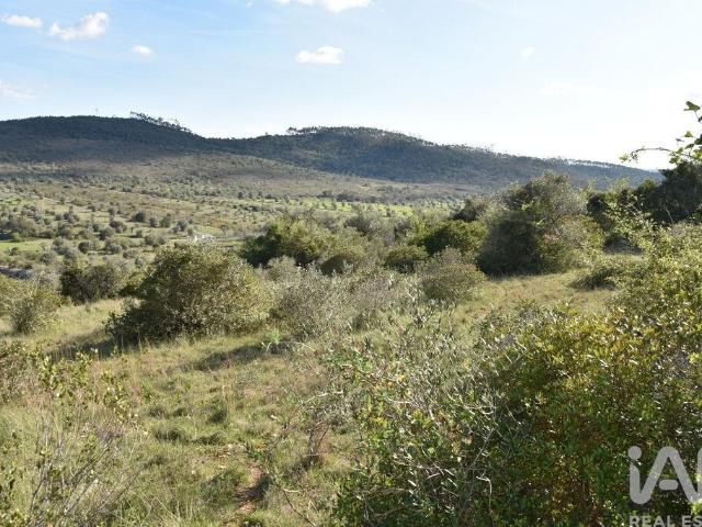 Terreno Agrícola em Chãos