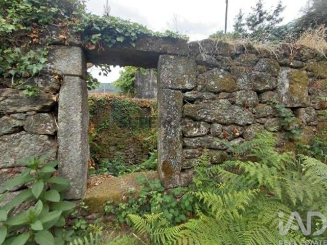 Terreno Agrícola em Chaviães e Paços