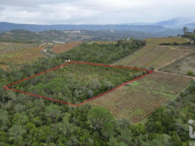 Terreno Agrícola em Condeixa a Velha e Condeixa a Nova