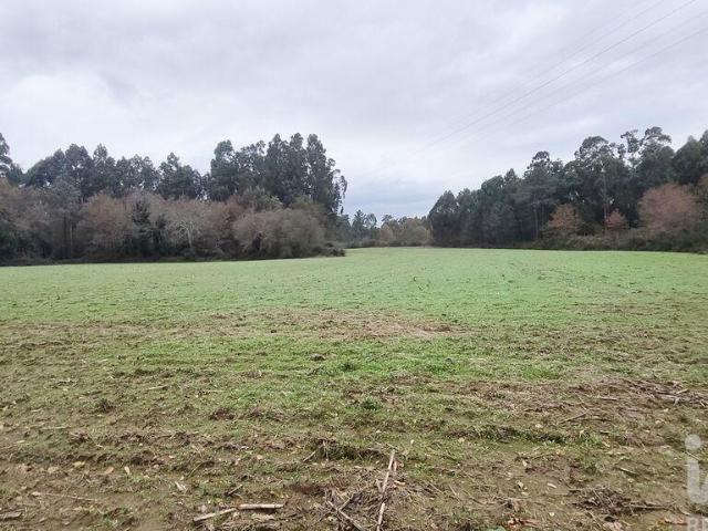 Terreno Agrícola em Cornes