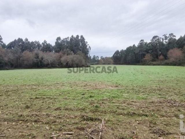 Terreno Agrícola em Cornes