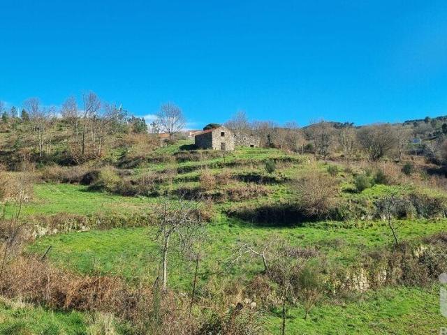Terreno Agrícola em Cortiçô da Serra, Vide entre Vinhas e Salgueirais