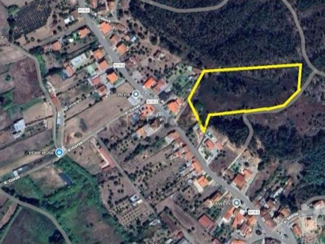 Terreno Agrícola em Eiras e São Paulo de Frades