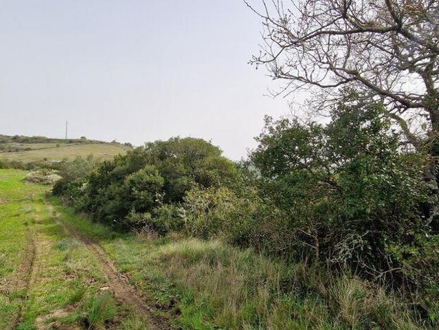 Terreno Agrícola em Igreja Nova e Cheleiros