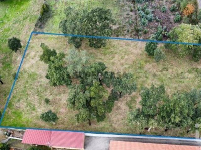 Terreno Agrícola em Figueiró dos Vinhos e Bairradas