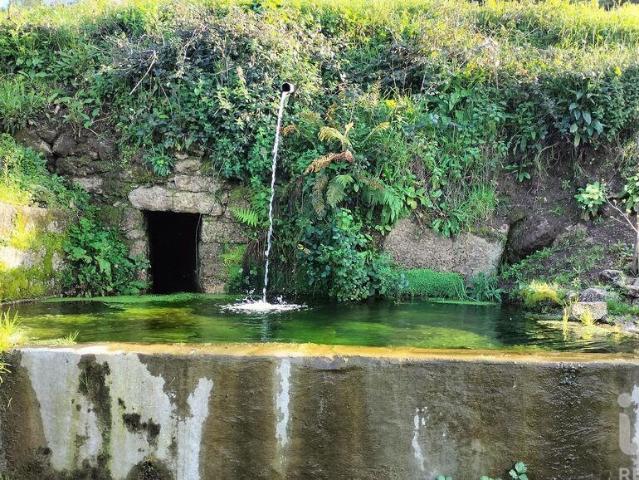 Terreno Agrícola em Fonte Arcada