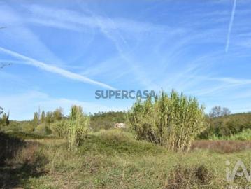 Terreno Agrícola em Freixianda, Ribeira do Fárrio e Formigais