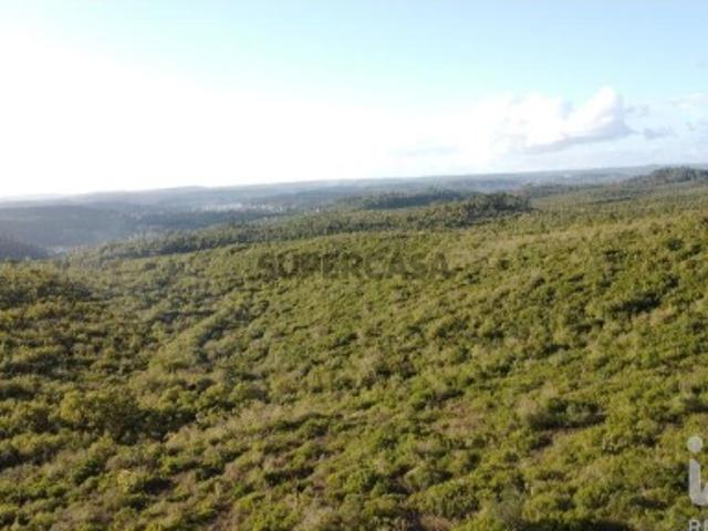 Terreno Agrícola em Freixianda, Ribeira do Fárrio e Formigais