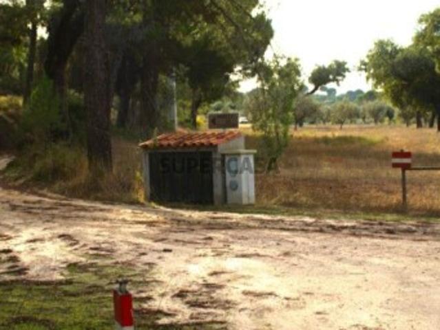 Terreno Agrícola em Galveias
