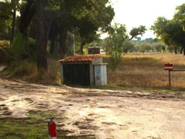 Terreno Agrícola em Galveias