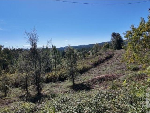 Terreno Agrícola em Graça