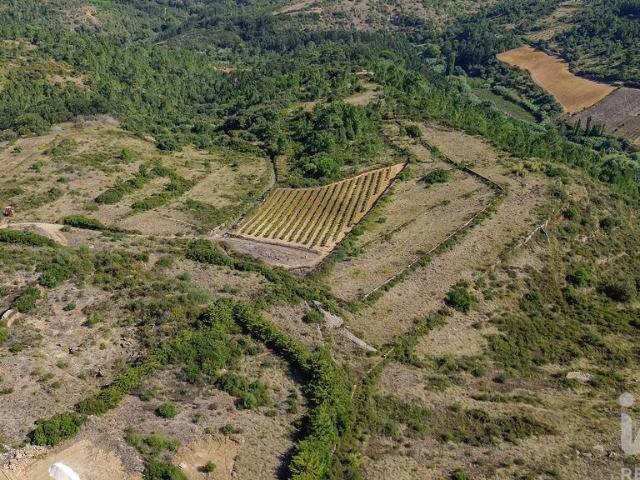 Terreno Agrícola em Igreja Nova e Cheleiros
